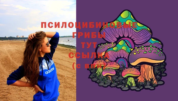 PSILOCYBIN Верхний Тагил